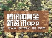 种植基地七