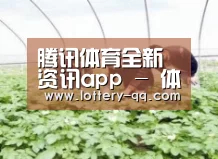 种植基地三