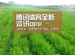 种植基地四