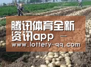 种植基地七(图1)